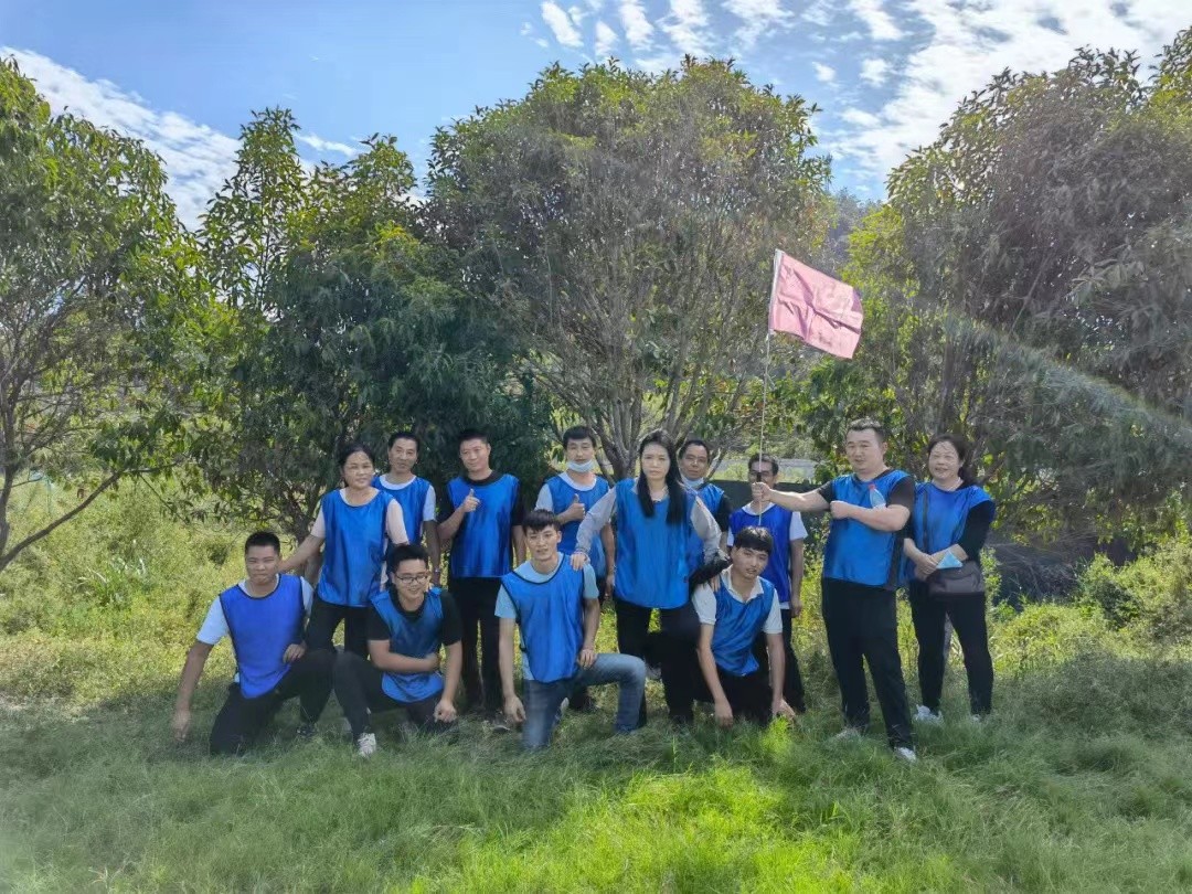 8fbc817aaf2f2e9003c7fbc0b90fb7c