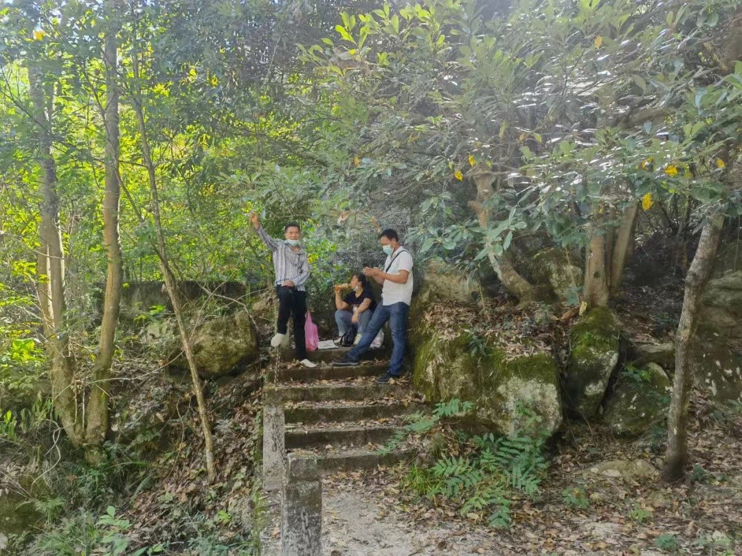 4fbe71dcebb29a9ef997766cfaf42a7