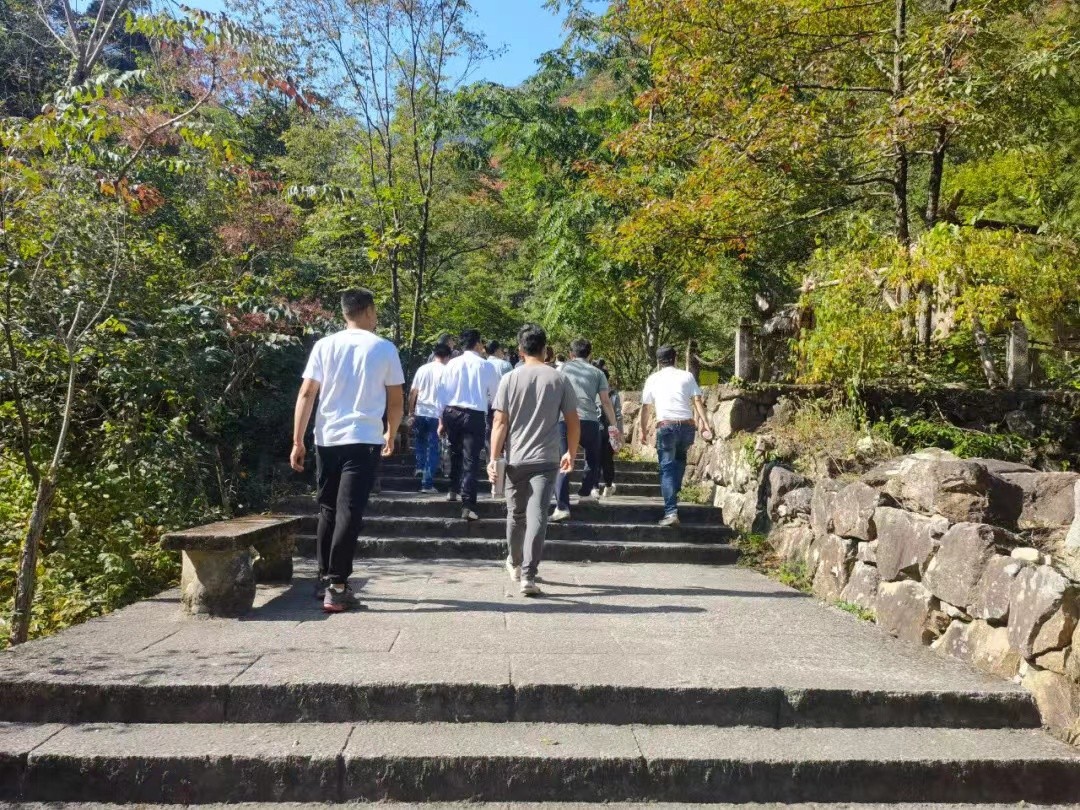 c0fc796999d6459cead49dad44648a5